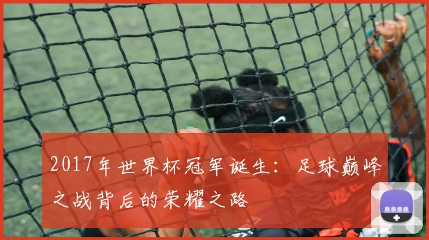 2017年世界杯冠军诞生：足球巅峰之战背后的荣耀之路